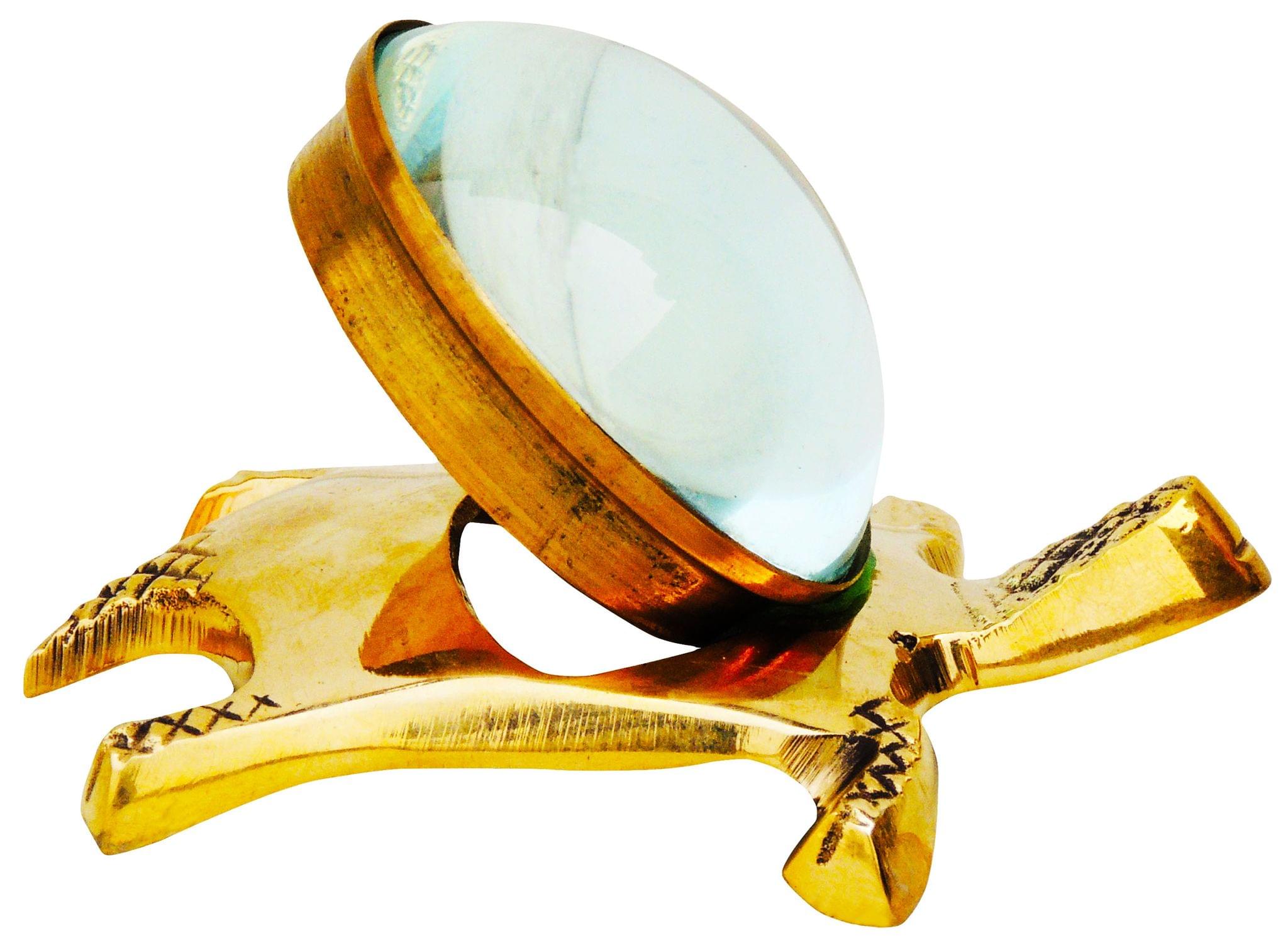 Brass Showpiece Tortoise - Image 4