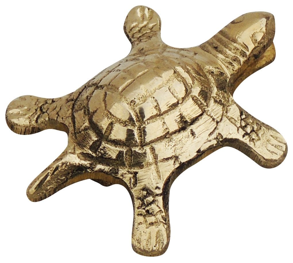 Brass Showpiece Tortoise Statue Small - Image 3